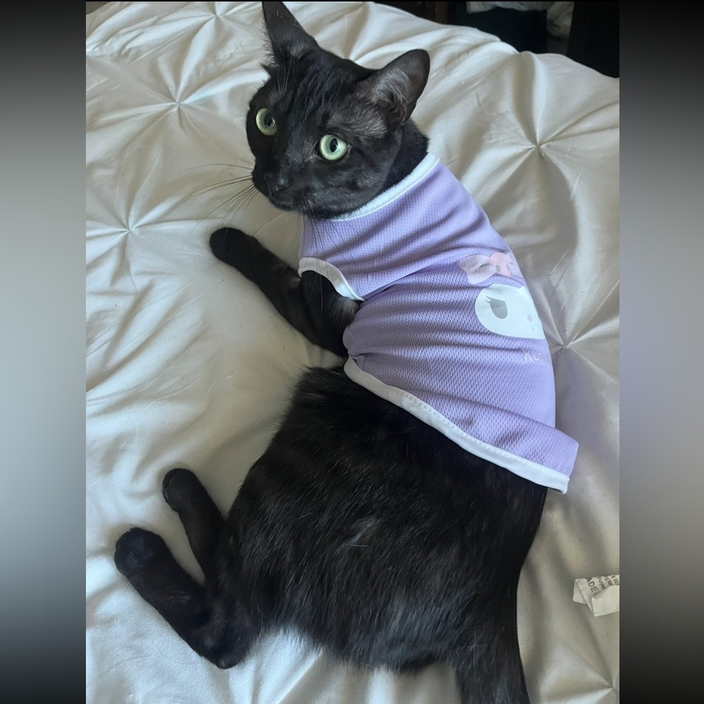 Meet your Posher, Antonella